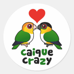 Caique verrückt runder aufkleber