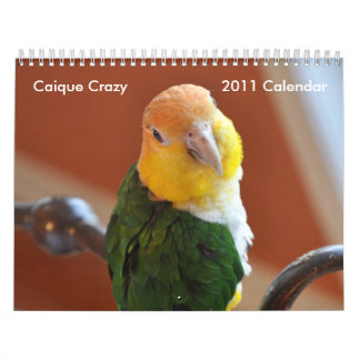 Caique-verrückter Kalender 2011