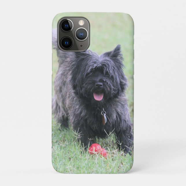 Cairn Case-Mate iPhone Hülle (Rückseite)