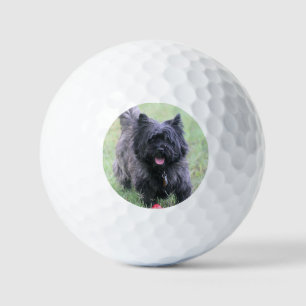Cairn Golfball