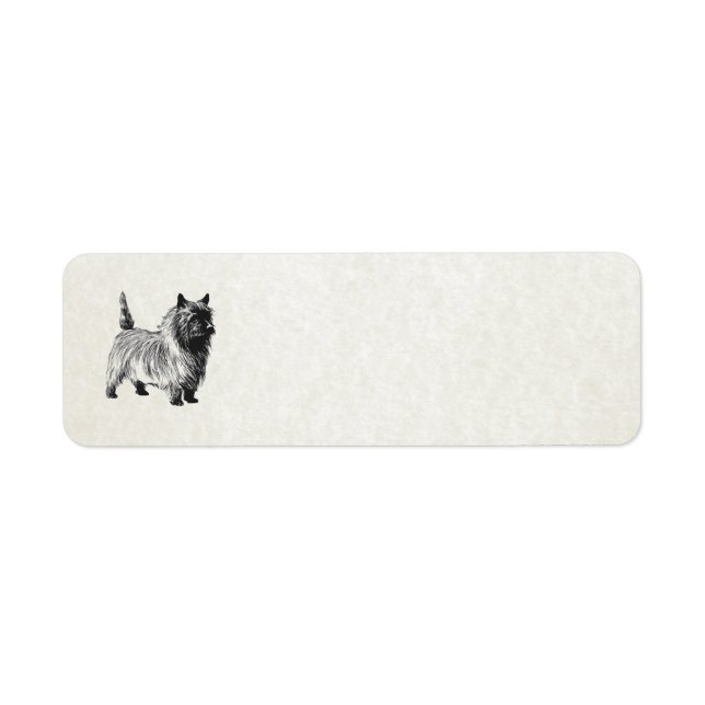 Cairn Terrier (Vorne)