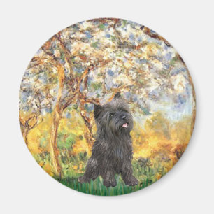 Cairn Terrier (Brindle 21) - Frühjahr Magnet