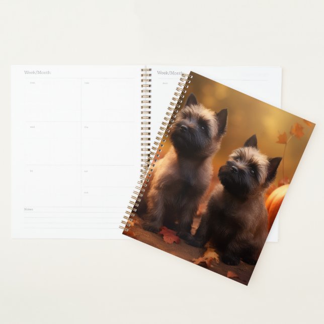 Cairn Terrier Chiot Automne Citrouille de plaisir (Devant avec enveloppe)