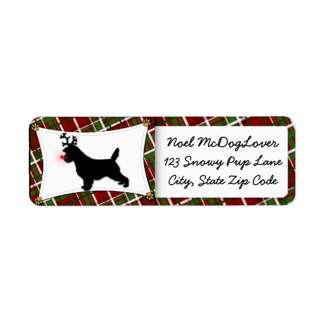 Cairn Terrier Christmas (Vorne)