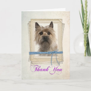 Cairn Terrier Danke-Card Dankeskarte