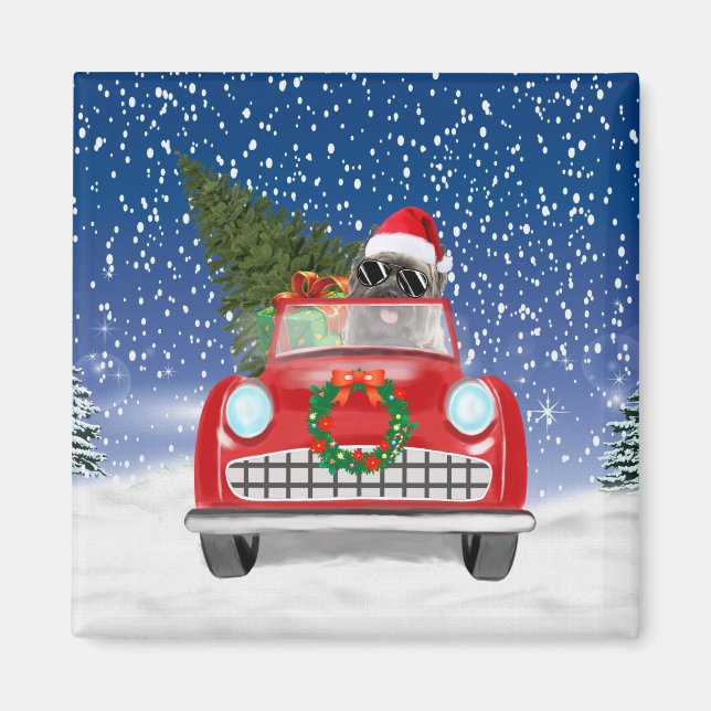 Cairn Terrier Dog Autofahrer im Schnee Weihnachten Magnet (Vorne)