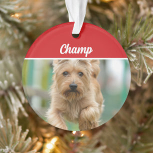 Cairn Terrier Dog Holiday Foto Weihnachten Ornament