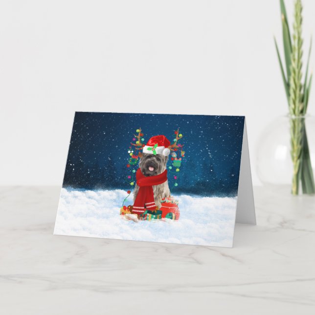 Cairn Terrier Dog in Snow mit Weihnachtsgeschenken Karte (Vorderseite)