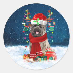 Cairn Terrier Dog in Snow mit Weihnachtsgeschenken Runder Aufkleber