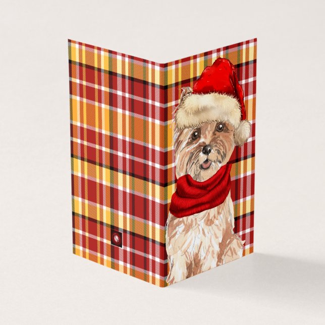 Cairn Terrier Dog mit Holiday Red Kariert Weihnach (Vorderseite)