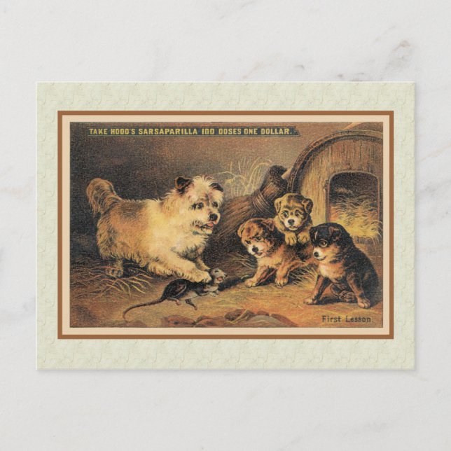 Cairn Terrier Dog und ihre Welpen Postkarte (Vorderseite)