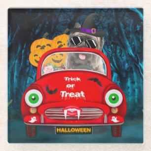 Cairn Terrier Driving Car Beängstigend Halloween Glasuntersetzer