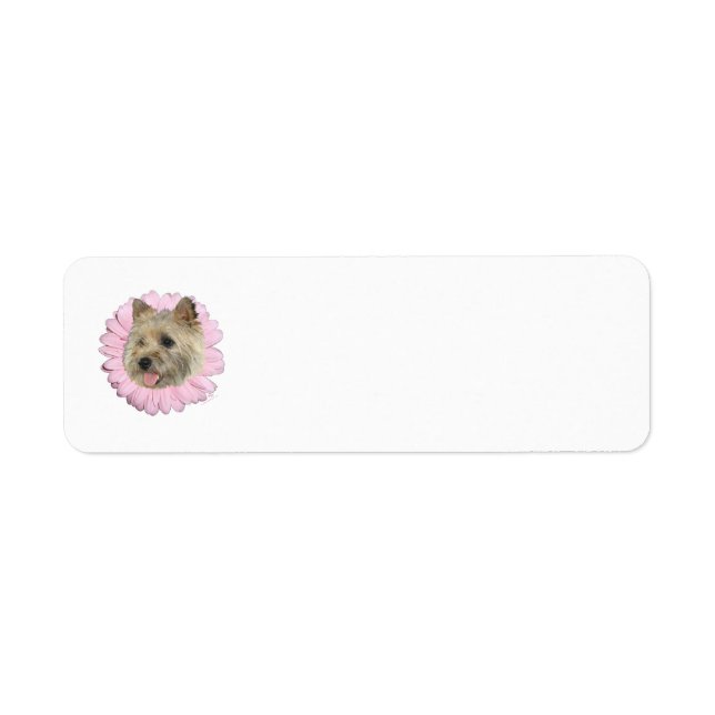 Cairn Terrier Frühlingsblume (Vorne)