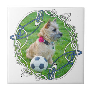 Cairn Terrier Fußball Fliese