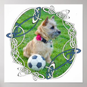 Cairn Terrier Fußball Poster