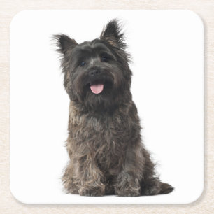 Cairn Terrier Gray Black Puppy Dog Liebe Rechteckiger Pappuntersetzer