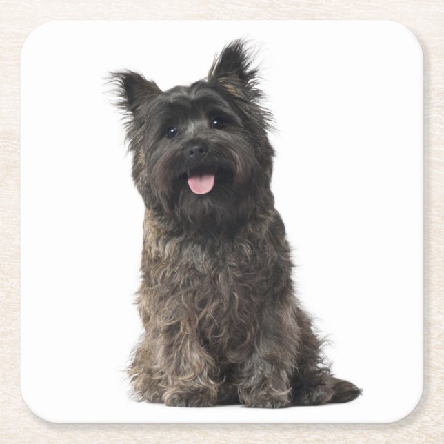 Cairn Terrier Gray Black Puppy Dog Liebe Rechteckiger Pappuntersetzer (Vorderseite)