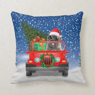 Cairn Terrier Hund mit Weihnachtsgeschenken Kissen