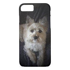 Cairn-Terrier-Hundniedlicher iPhone Fall title_seo2
