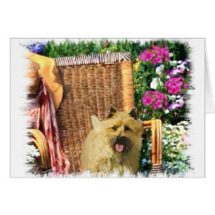 Cairn Terrier Kunstgeschenke