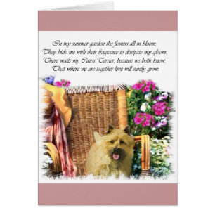 Cairn Terrier Kunstgeschenke