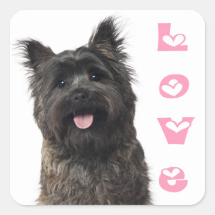 Cairn Terrier Liebe Welpe Hund Mama Mama Canon Quadratischer Aufkleber