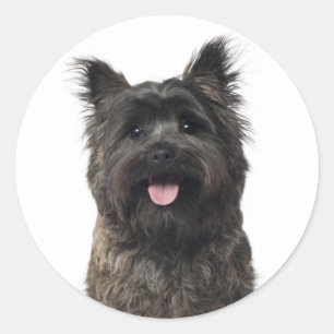 Cairn Terrier Liebe Welpenhund Mama Fell Mama Hund Runder Aufkleber