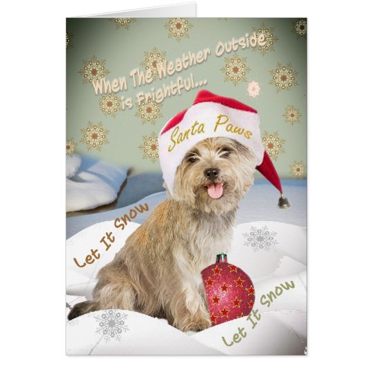 Cairn-Terrier ließ es schneien Karten
