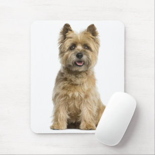 Cairn Terrier Mama Welpe Hund Papa Fell Mama Rettu Mousepad