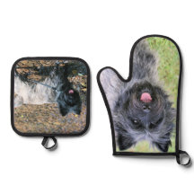 Cairn Terrier