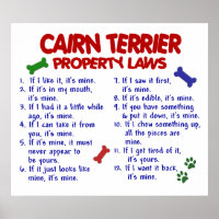 CAIRN TERRIER PL2