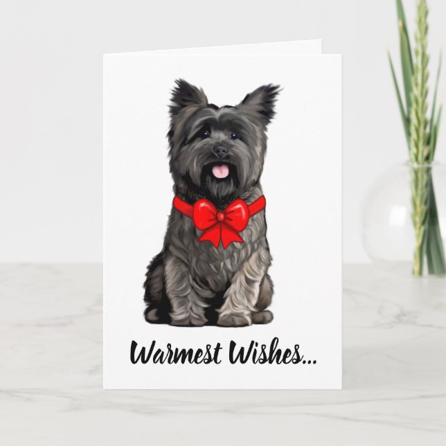 Cairn Terrier portant une carte de voeux de Noël (Devant)