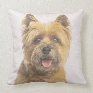 Cairn-Terrier-Porträt-Imitat-Nadelspitzen-Entwurf Kissen