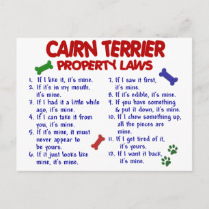 CAIRN TERRIER Property Laws 2 Postkarte
