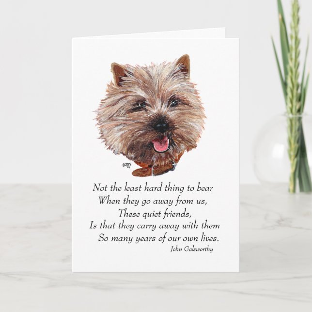 Cairn Terrier Rainbow Bridge Karte (Vorderseite)