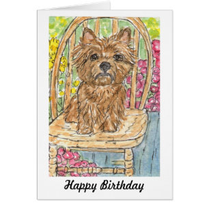 Cairn Terrier se reposant dans la carte