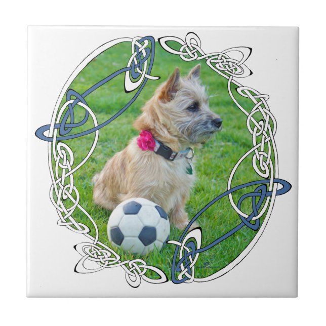 Cairn Terrier Soccer Fliese (Vorderseite)