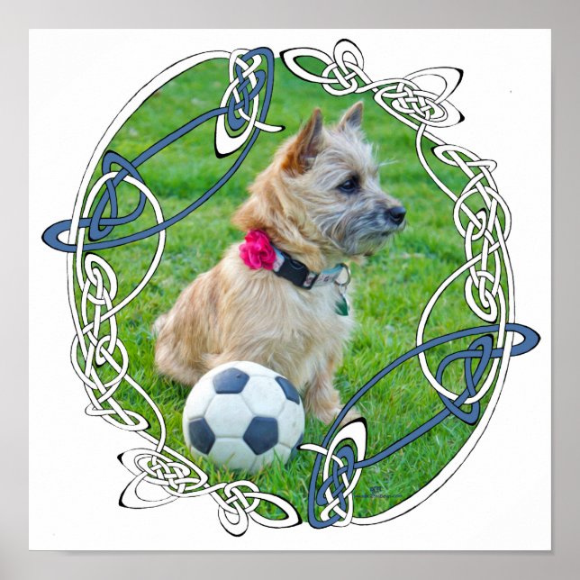Cairn Terrier Soccer Poster (Vorne)