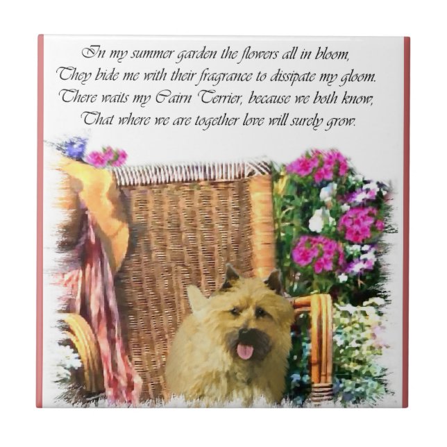 Cairn Terrier Summer Garden Fliese (Vorderseite)