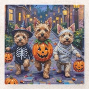 Cairn Terrier Süßigkeitenbetteln Halloween Kostüme Glasuntersetzer