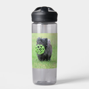 Cairn Terrier Trinkflasche