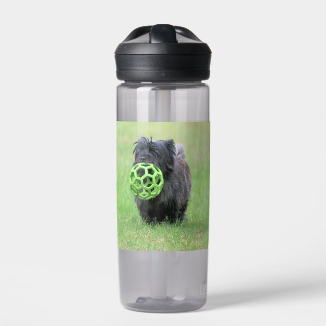 Cairn Terrier Trinkflasche (Vorderseite)