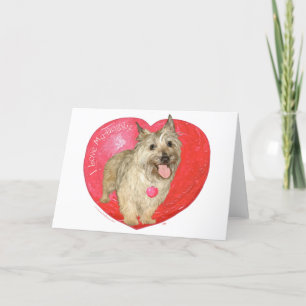 Cairn Terrier Valentinstag Feiertagskarte