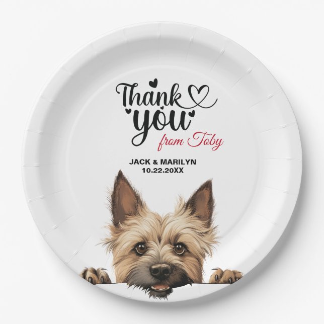 Cairn Terrier Wedding Reception Pappteller (Vorderseite)