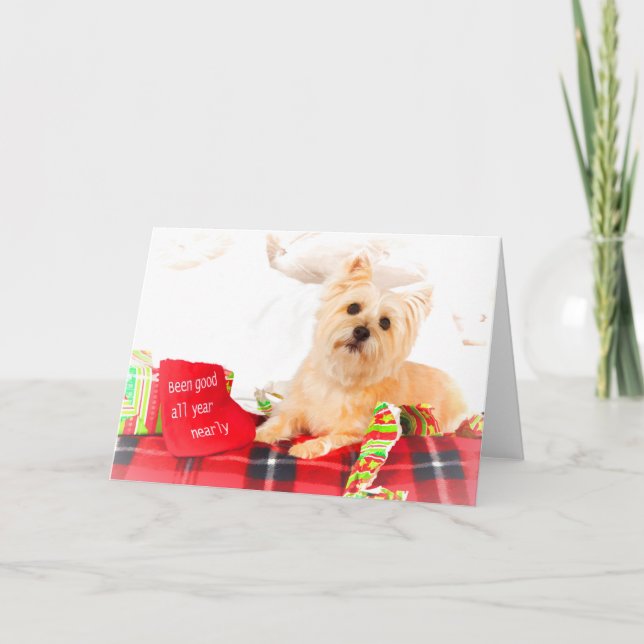 Cairn Terrier Weihnachtskarte Feiertagskarte (Vorderseite)