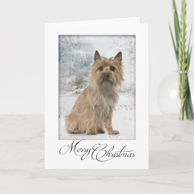 Cairn Terrier Weihnachtskarte Karte (Vorderseite)