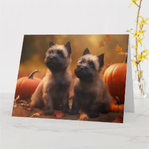 Cairn Terrier Welpe Herbst Kürbis Karte