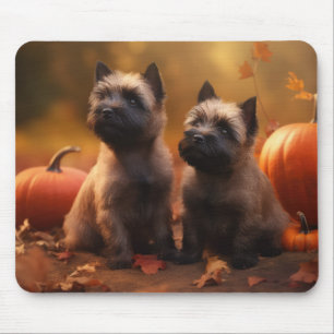 Cairn Terrier Welpe Herbstfreude Kürbis  Mousepad