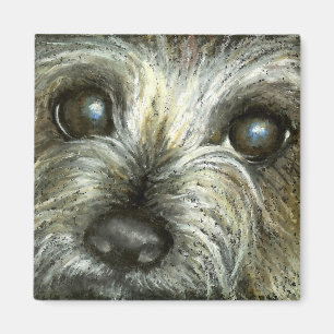 Cairn Terrier Welpe Magnet
