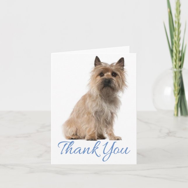 Cairn Terrier Welpen Hund Danke, dass Sie leere No Dankeskarte (Vorderseite)
